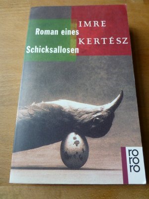 Roman eines Schicksallosen