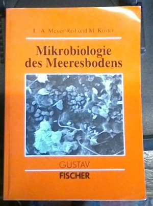 Mikrobiologie des Meeresbodens