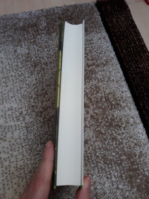 gebrauchtes Buch – Jane Gardam – Ein untadeliger Mann