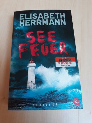 gebrauchtes Buch – Elisabeth Herrmann – Seefeuer