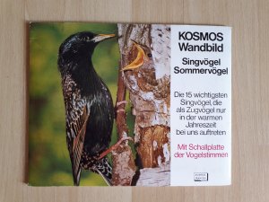 Singvögel   ///   Sommervögel   (Kosmos-Wandbild)