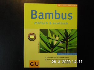 Bambus einfach & exotisch