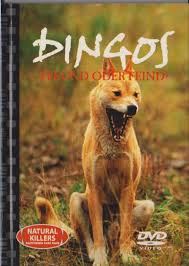 Dingos - Freund oder Feind - Natural Killers