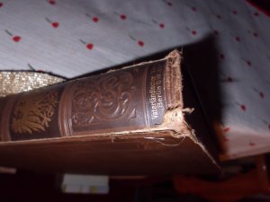 antiquarisches Buch – Bruno Garlepp – Bismarck-Denkmal für das Deutsche Volk