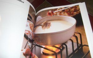 gebrauchtes Buch – ohne Angabe – FONDUE. Die leichte Küche. Das moderne Kochbuch für alle, die gern mit Freunden genießen