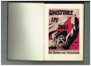 antiquarisches Buch – Anonym – Umsturz im Juli