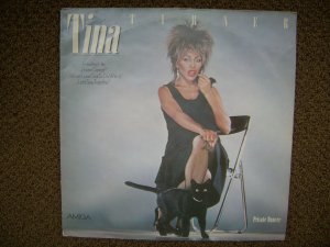 gebrauchter Tonträger – Tina Turner – Privat Dancer