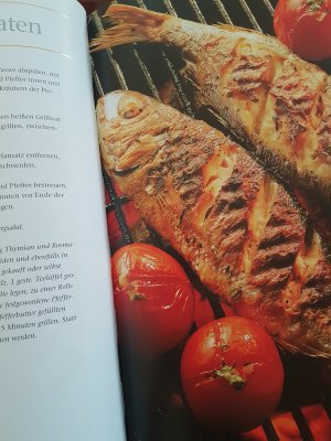 gebrauchtes Buch – Oetker – Grillen