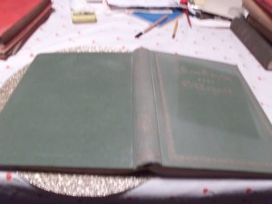 antiquarisches Buch – J. Victor von Scheffel – Ekkehard