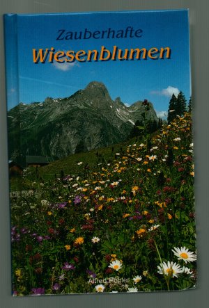 Zauberhafte Wiesenblumen