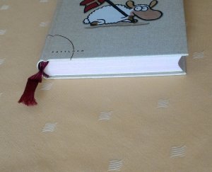 gebrauchtes Buch – Küstenmacher, Werner Tiki – Die 3-Minuten-Bibel
