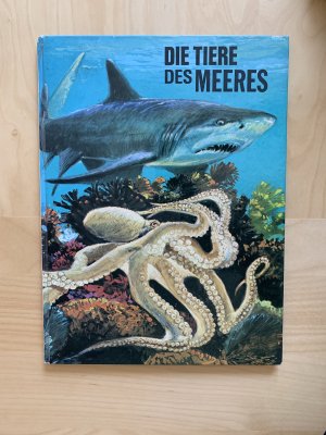 Die Tiere des Meeres