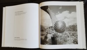 gebrauchtes Buch – Pavel Šticha (Fotos) Philip Šticha  – SAGUARO