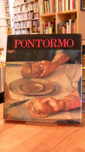 Pontormo e il suo tempo