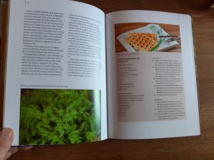 gebrauchtes Buch – Christel Ehlers – Die Alb-Gold Kräuter Welt