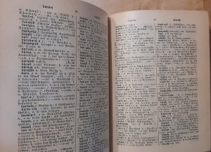 antiquarisches Buch – Josef Rank – Kleines Taschenwörterbuch der böhmischen und deutschen Sprache. I. Böhmisch-Deutscher Theil