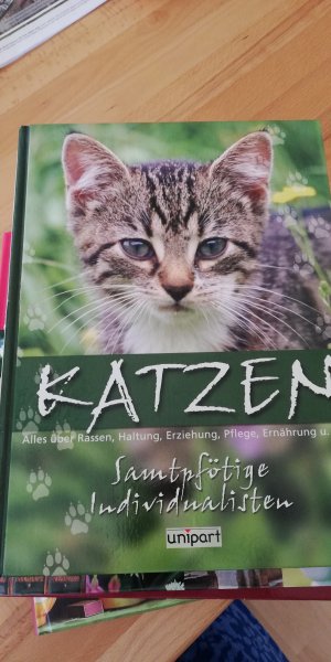 Katzen - samtpfötige Individualisten