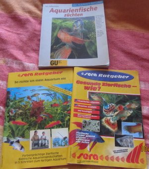gebrauchtes Buch – Ines Scheurmann – Aquarienfische züchten