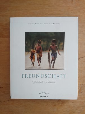 gebrauchtes Buch – Binchy, Maeve  – Freundschaft - Augenblicke der Menschlichkeit