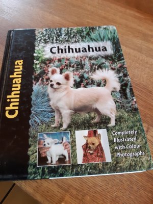 Chihuahua