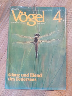 gebrauchtes Buch – Vögel Zeitschrift für Natur und Umweltschutz Nr. 4 aus 1982