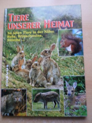 Tiere unserer Heimat - So leben die Tiere in der Nähe: Rehe, Wildschweine, Störche...