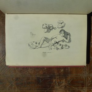 antiquarisches Buch – Paul Gauguin – Avant et Après - avec les vingt-sept dessins du manuscrit original