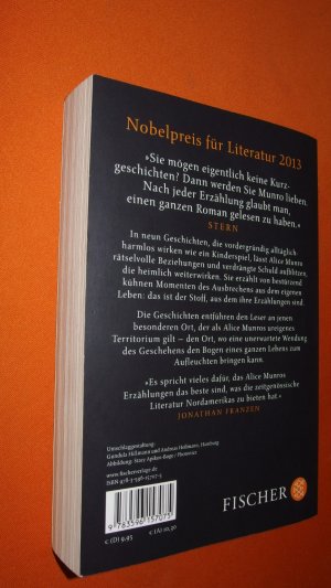 gebrauchtes Buch – Alice Munro – Himmel und Hölle - Neun Erzählungen