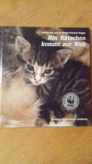 Ein Kätzchen kommt zur Welt