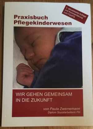 Praxisbuch Pflegekinderwesen - Wir gehen gemeinsam in die Zukunft