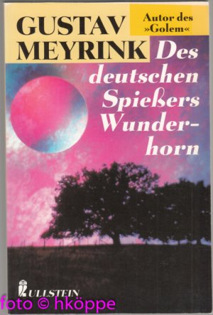 gebrauchtes Buch – Gustav Meyrink – Des deutschen Spiessers Wunderhorn : Novellen.