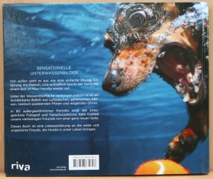 gebrauchtes Buch – Seth Casteel – Hunde unter Wasser