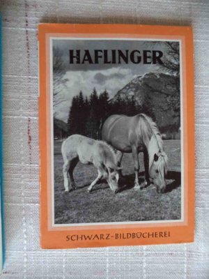 gebrauchtes Buch – Robert Löbl – Haflinger - 42 Bildtafeln