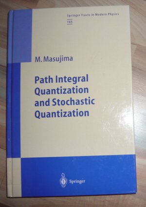 Path Integral Quantization and Stochastic Quantization