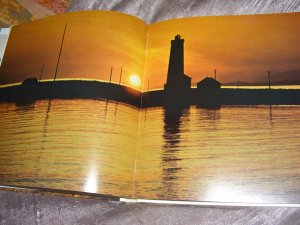 gebrauchtes Buch – Autorenkollektiv – Island. Ein Porträt in Farben