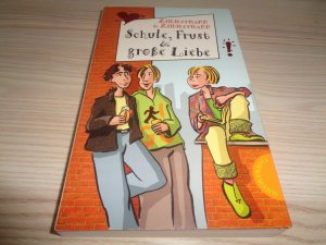 gebrauchtes Buch – Zimmermann, Irene; Zimmermann – Schule, Frust & große Liebe