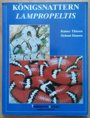 Königsnattern Lampropeltis