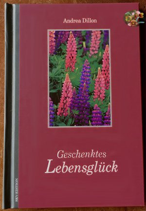 gebrauchtes Buch – Andrea Dillon – Geschenktes Lebensglück