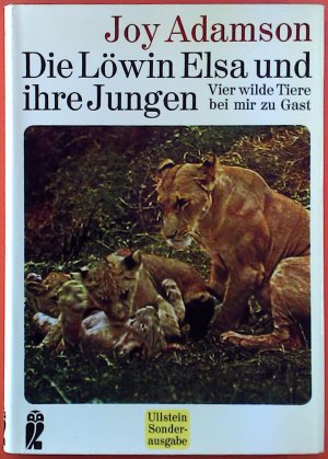 Die Löwin Elsa und ihre Jungen. Vier wilde Tiere bei mir zu Gast.