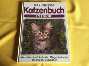 Das große Katzenbuch in Farbe