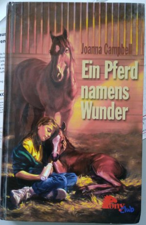 gebrauchtes Buch – Ein Pferd namens Wunder