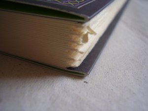 gebrauchtes Buch – L Frank Baum – The Wizard of Oz (Puffin Chalk)