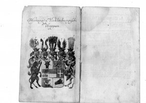 Herzog Mecklenburgische Wappen / Pfaltzgräfl. Sultzbachisches und Zweybrückisches Wappen / Herzog Braunschweigisches Wolfefenbüttelisches Wappen / Markgräffl […]