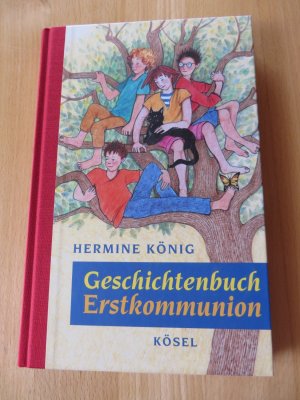 gebrauchtes Buch – Hermine König – Geschichtenbuch Erstkommunion