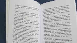 gebrauchtes Buch – Bärbel Rädisch – Schwimm, Benno