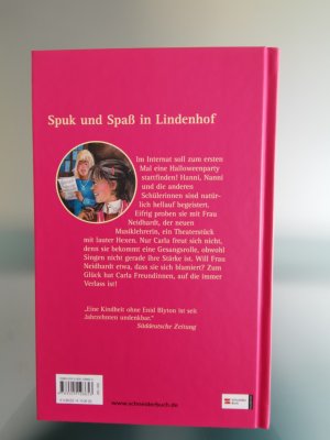 gebrauchtes Buch – Enid Blyton – Hanni und Nanni - Freundinnen halten zusammen - Sonderband/ NEU!