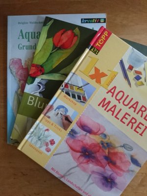 gebrauchtes Buch – Aquarellmalerei - 3 Bände im Großformat