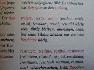 gebrauchtes Buch – Geisselhart, Oliver; Lange – Kaputt ist der Kopf - Mit Wortbildern hundert und mehr Lateinvokabeln pro Stunde lernen