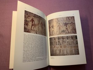 gebrauchtes Buch – Sigrid Hodel-Hoenes – Leben und Tod im Alten Ägypten