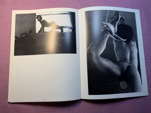 gebrauchtes Buch – Norbert Kosmowski – Internationale Männerfotografie 2/International Male Photography 2/ La France